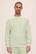 Model is wearing French Terry Sweatshirt in Matcha