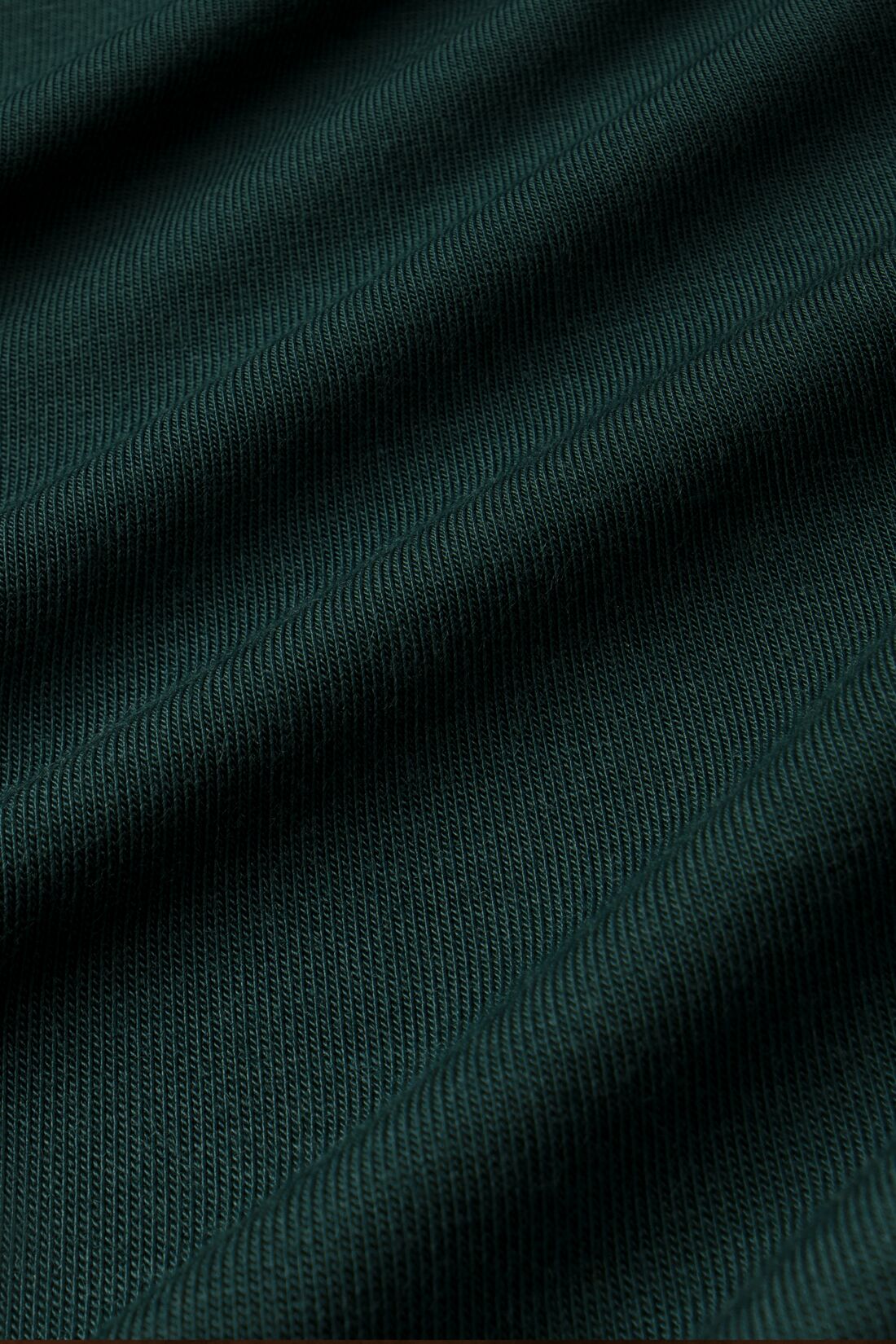 Image of TENCEL fabric in Pine