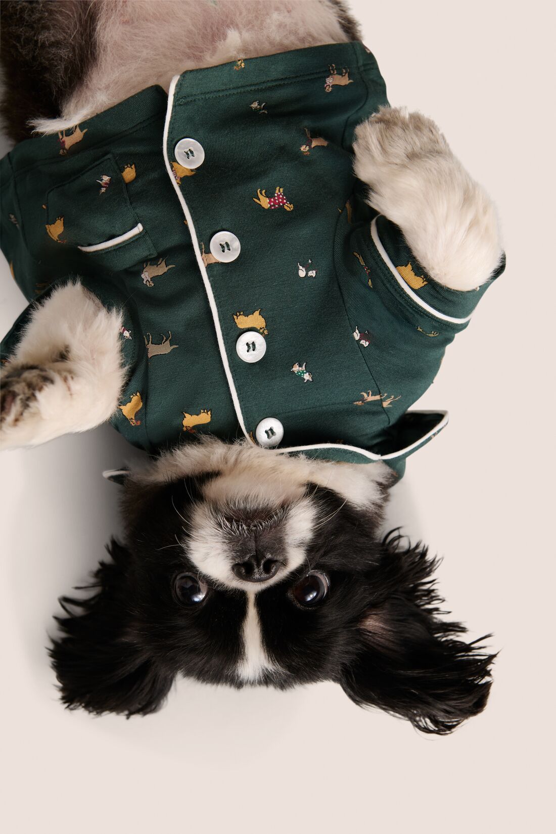 Model is wearing Gisele Printed TENCEL™ Modal Pet PJ  in Holiday Dogs Pine/Ivory